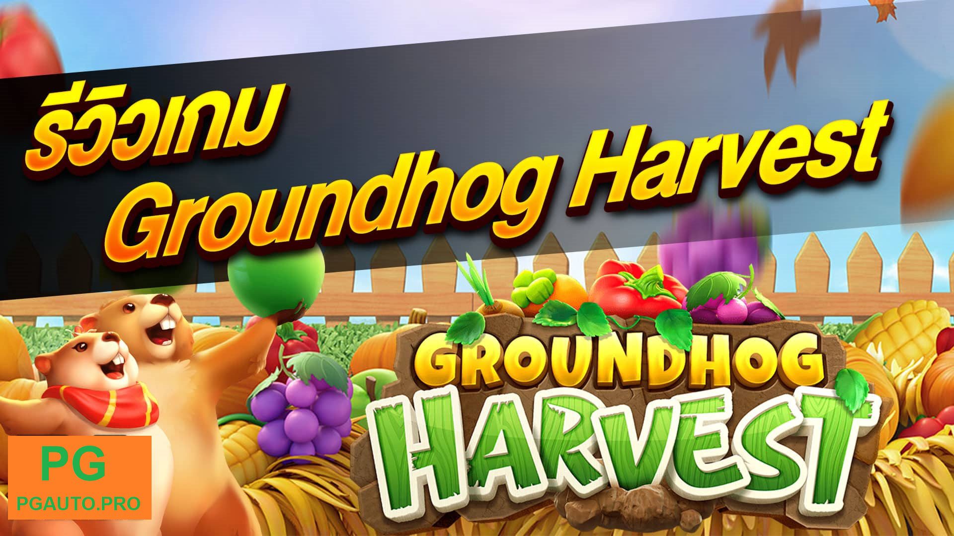 รีวิวเกมสล็อต กราวด์ฮอก ตัวตุ่น