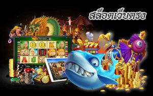 สล็อตเว็บใหม่ เล่นง่ายทุกค่าย