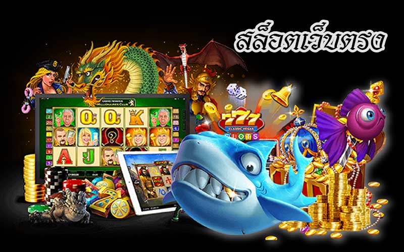 สล็อตเว็บใหม่ เล่นง่ายทุกค่าย